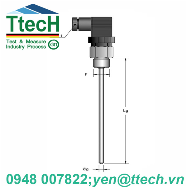 CẢM BIẾN NHIỆT PT (RCT-TERMOTECH)